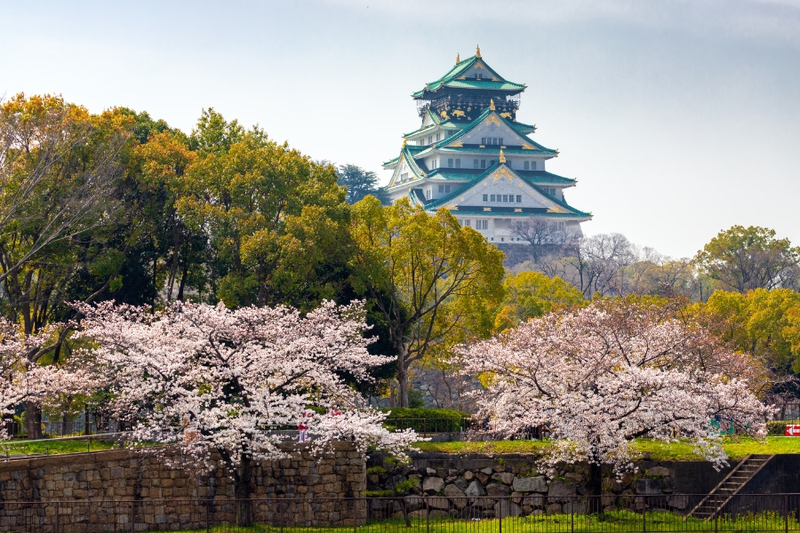 Lâu đài Osaka - Điểm đến thu hút tại Nhật Bản
