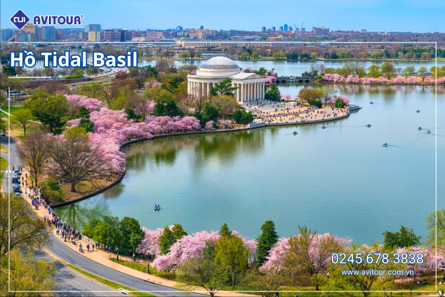 Du Lịch Liên Tuyến Đông Tây Hoa Kỳ (Rực Rỡ Hoa Anh Đào): Tour New York - Philadelphia - Delaware - Washington Dc - Las Vegas - Grand Canyon - Los Angeles - San Diego - San Jose - San Francisco Từ Hà Nội 2026