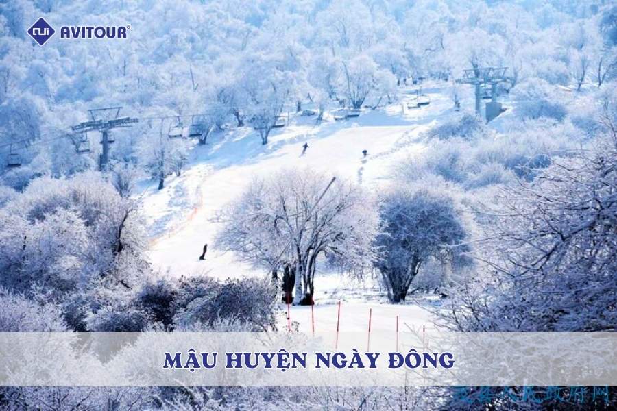 Mậu Huyện ngày đông: Bản tình ca tuyết trắng giữa lòng Tứ Xuyên