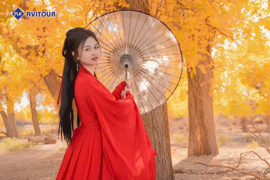Mùa thu Nam Kinh: Bản tình ca lá đỏ giữa cố đô Trung Hoa