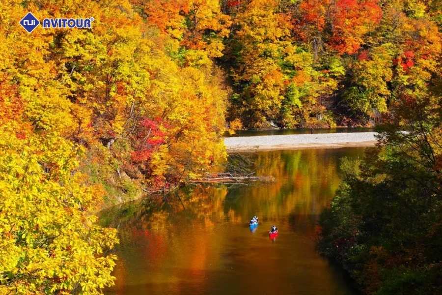 Mùa thu tại thung lũng Jozankei Onsen: Thiên đường lá đỏ Hokkaido