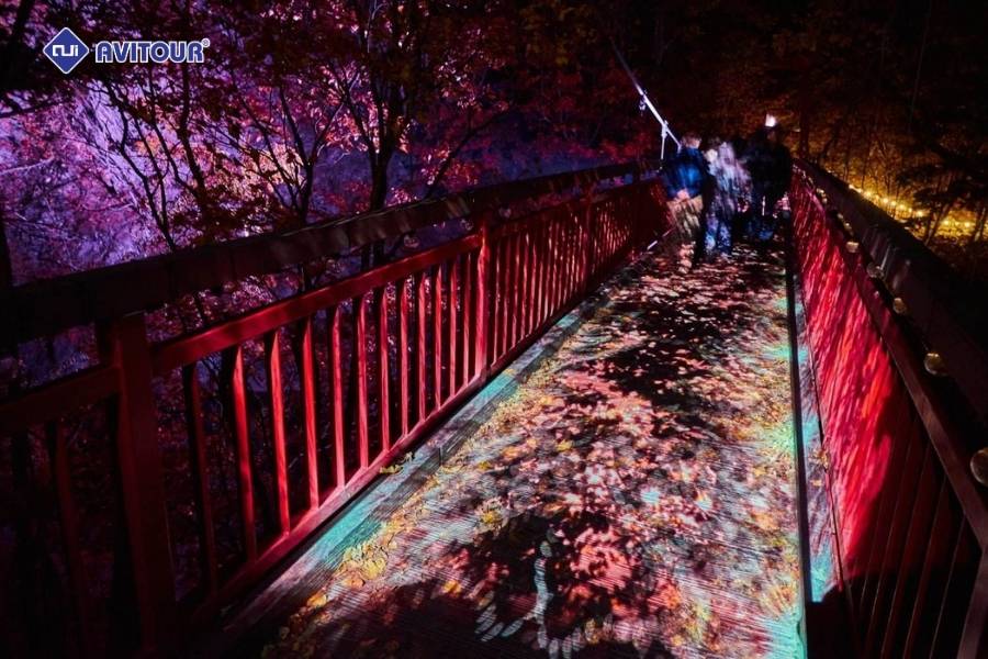 Mùa thu tại thung lũng Jozankei Onsen: Thiên đường lá đỏ Hokkaido