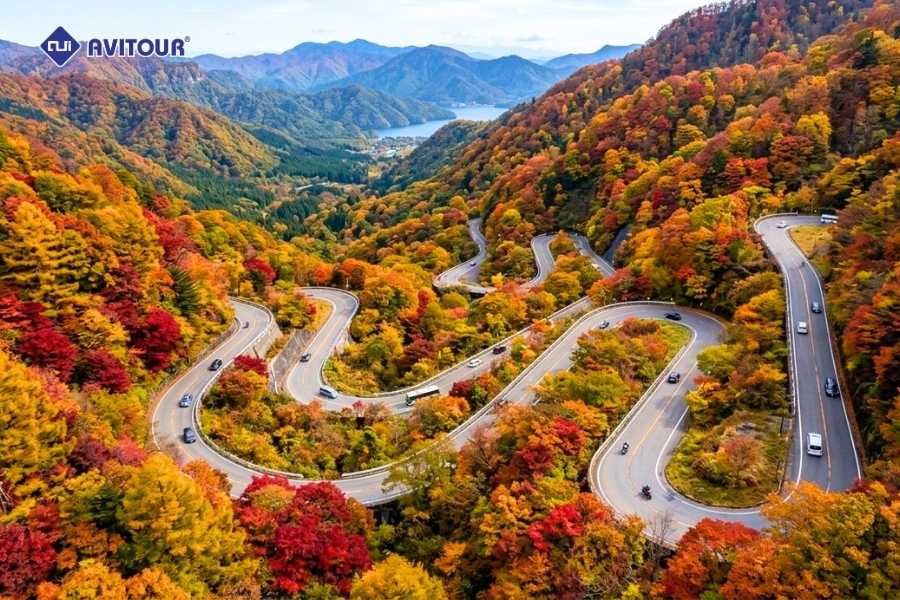 Mùa thu trên cung đường Irohazaka: Sắc lá đỏ đẹp mê hồn giữa núi rừng