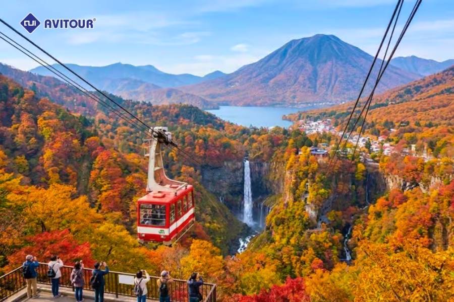 Mùa thu trên cung đường Irohazaka: Sắc lá đỏ đẹp mê hồn giữa núi rừng