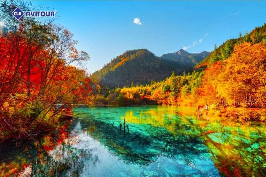 Nên Đi Du Lịch Cửu Trại Câu Vào Mùa Nào?