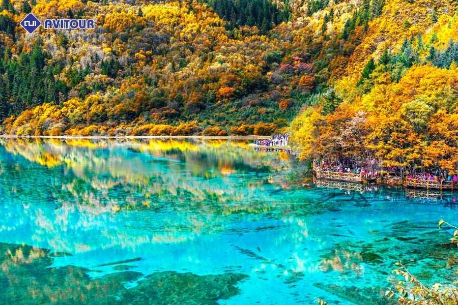 Nên Đi Du Lịch Cửu Trại Câu Vào Thời Điểm Nào?