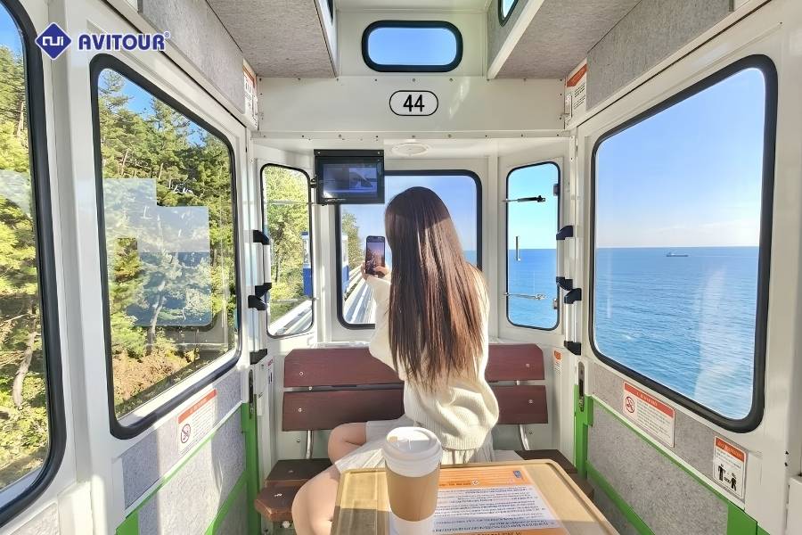Ngắm đại dương tuyệt đẹp ở Hàn Quốc trên chuyến tàu lửa ven biển Haeundae Blueline