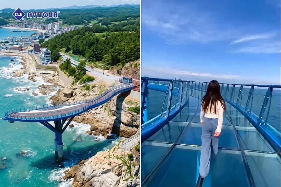 Ngắm đại dương tuyệt đẹp ở Hàn Quốc trên chuyến tàu lửa ven biển Haeundae Blueline