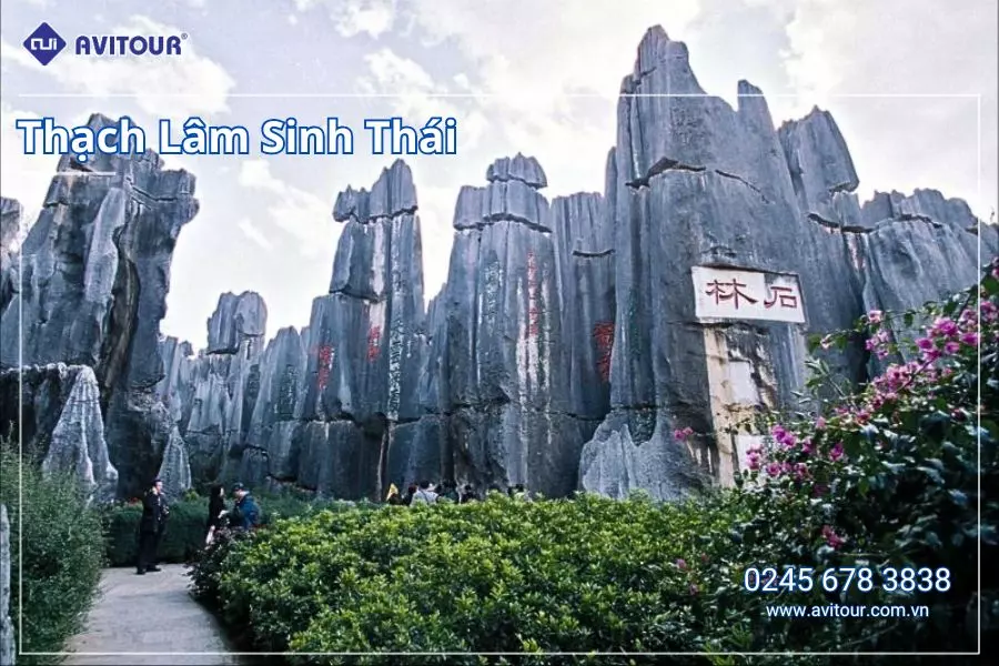 RỰC RỠ TẾT DƯƠNG VI VU TRÙNG KHÁNH: HÀ NỘI - TRÙNG KHÁNH - TRƯỢT TUYẾT KIM PHẬT SƠN - HỒNG NHAI ĐỘNG - TỪ KHÍ KHẨU CỔ TRẤN