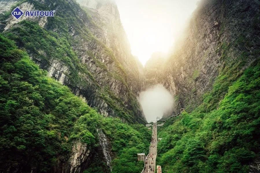 Rừng Quốc gia Thiên Môn Sơn - Điểm đến không thể bỏ qua khi du lịch Trung Quốc