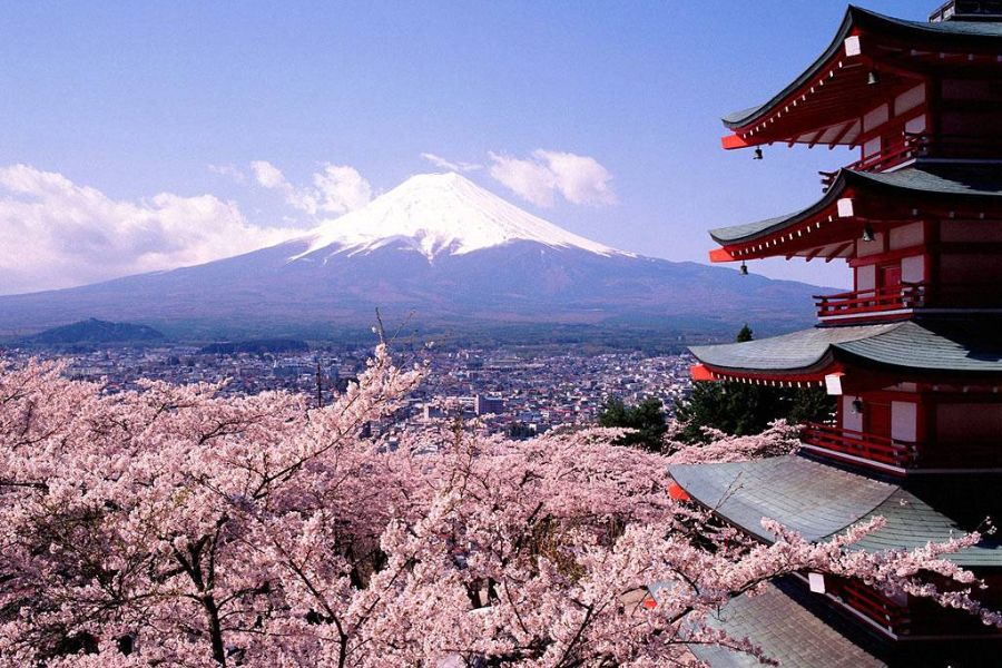 Say đắm vẻ đẹp bốn mùa núi Phú Sĩ Nhật Bản