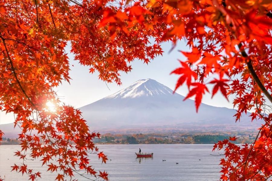 Say đắm vẻ đẹp bốn mùa núi Phú Sĩ Nhật Bản