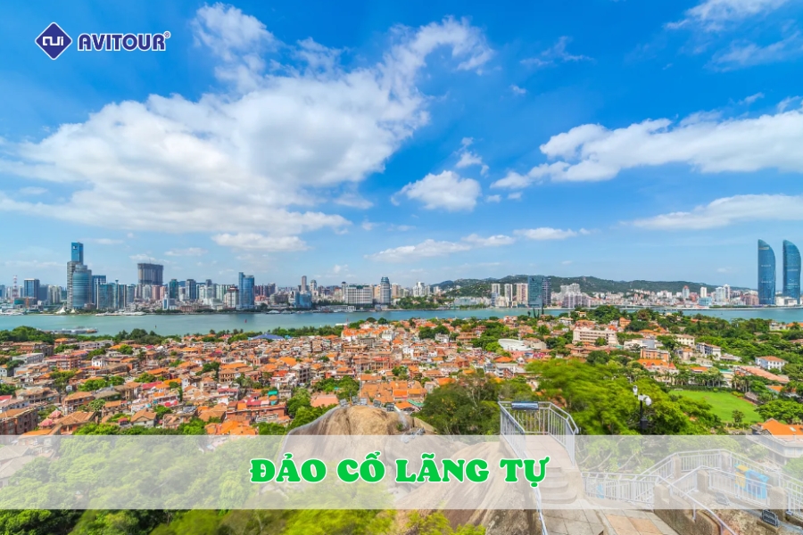 Sống động và khác biệt: Trải nghiệm Đảo Cổ Lãng Tự từ góc nhìn mới