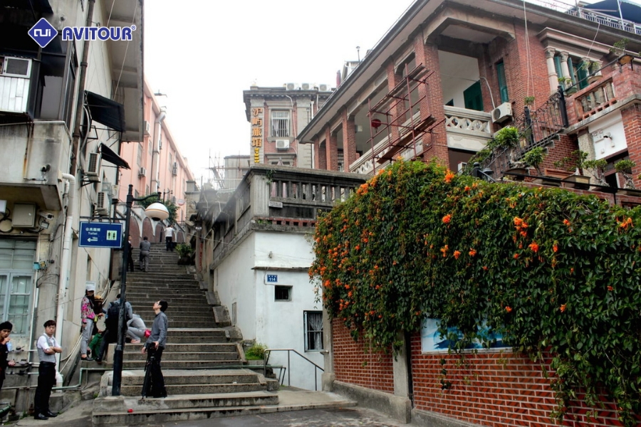 Sống động và khác biệt: Trải nghiệm Đảo Cổ Lãng Tự từ góc nhìn mới