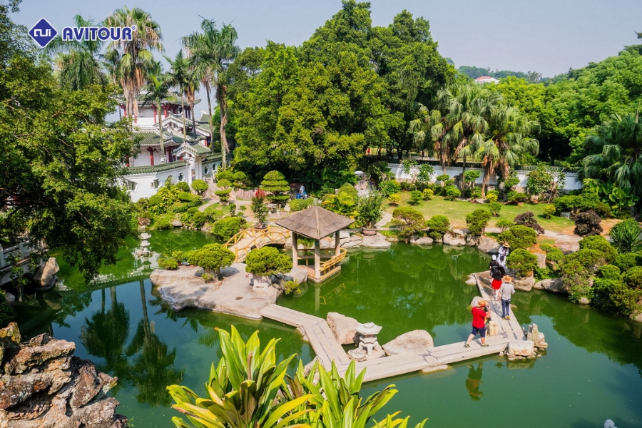 Sống động và khác biệt: Trải nghiệm Đảo Cổ Lãng Tự từ góc nhìn mới