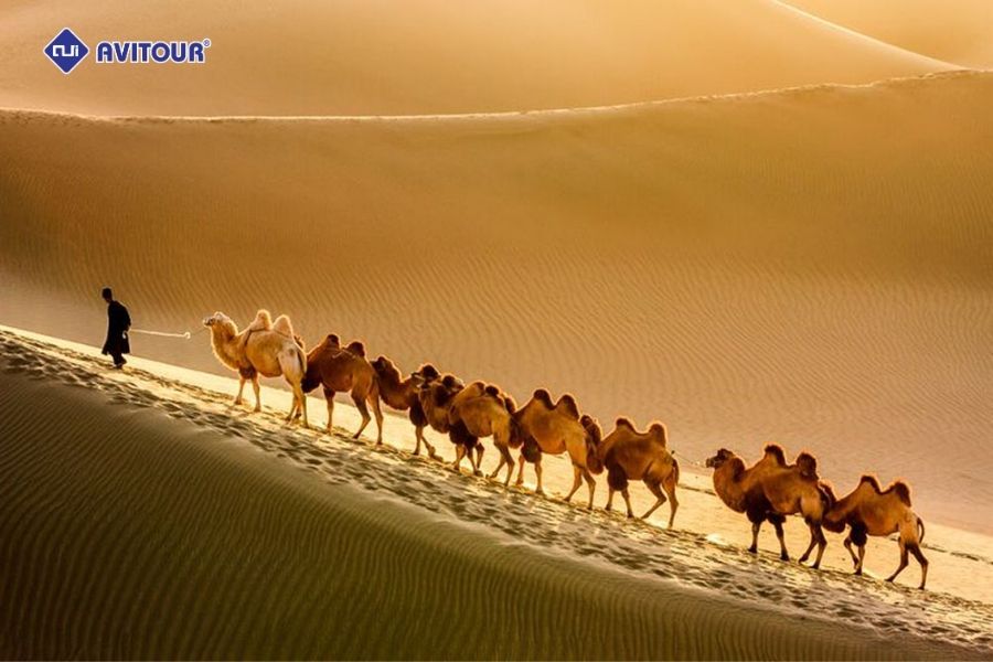 Tân Cương - Bản tình ca hoang sơ trên con đường tơ lụa huyền thoại
