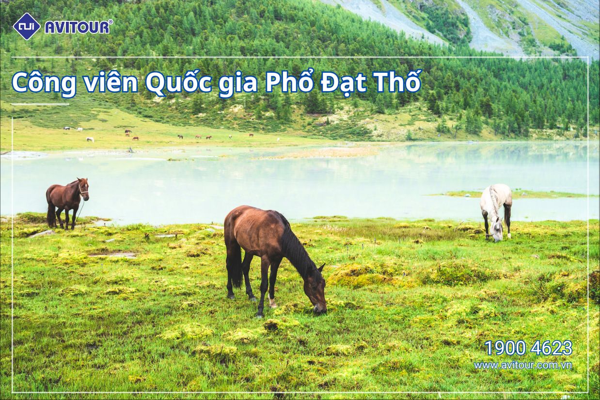 Tận hưởng kì nghỉ thư thái cùng du lịch Trung Quốc | HÀ NỘI - LỆ GIANG - SHANGRILA - HÀ NỘI
