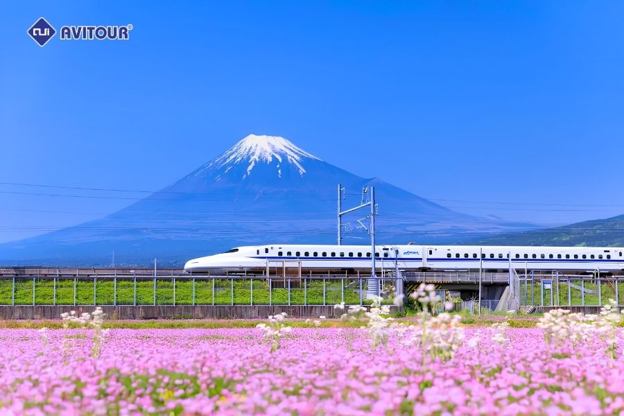 Tàu Shinkansen Nhật Bản: Biểu tượng tốc độ và trải nghiệm du lịch không thể bỏ lỡ