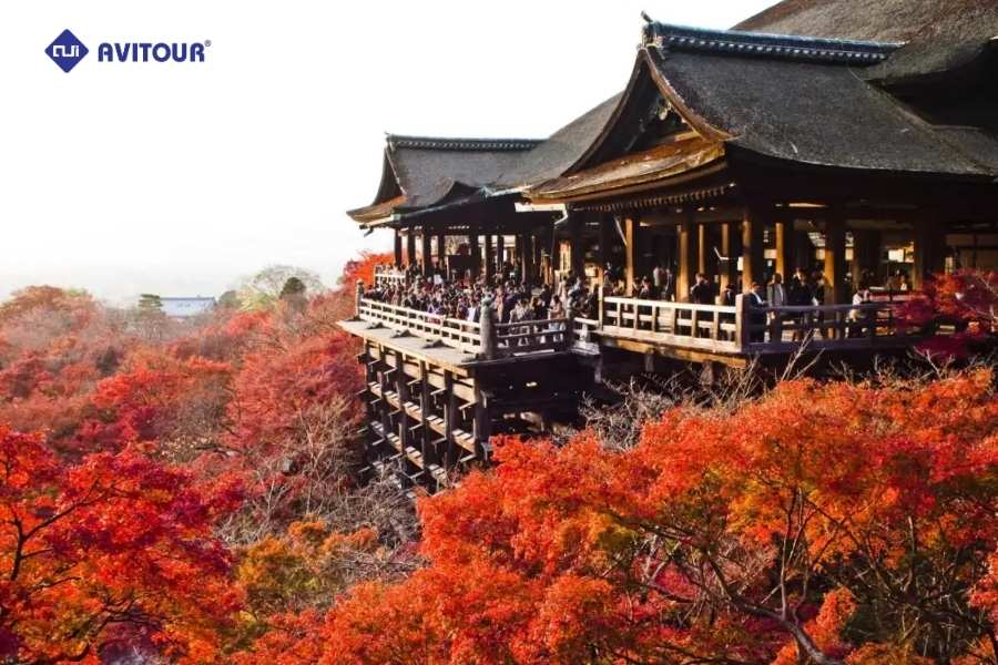 Tham Quan Chùa Tofukuji - Nơi Ngắm Lá Phong Đầu Tiên Ở Kyoto