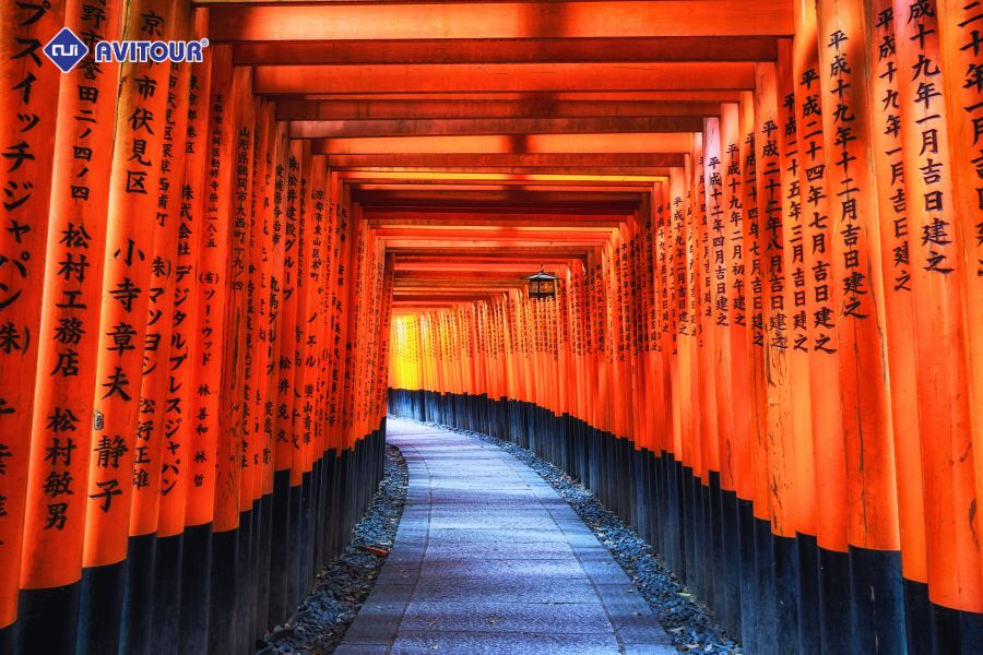 Tham quan Fushimi Inari Taisha: Biểu tượng linh thiêng bậc nhất Kyoto