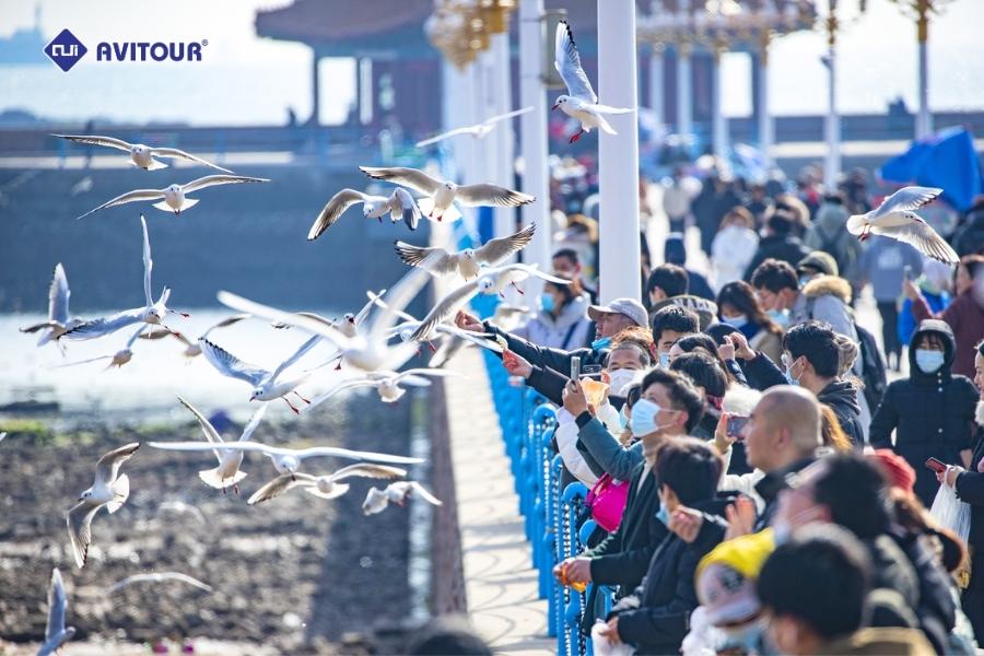 Thanh Đảo: Thành phố biển xinh đẹp với nét giao thoa Á - Âu của Trung Quốc