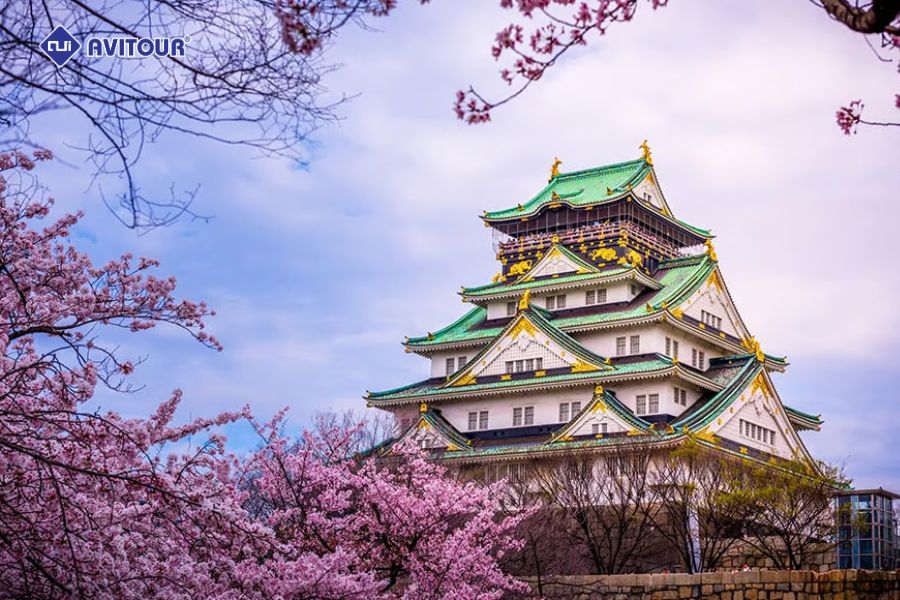 Top 5 Sự Thật Thú Vị về Du Lịch Osaka