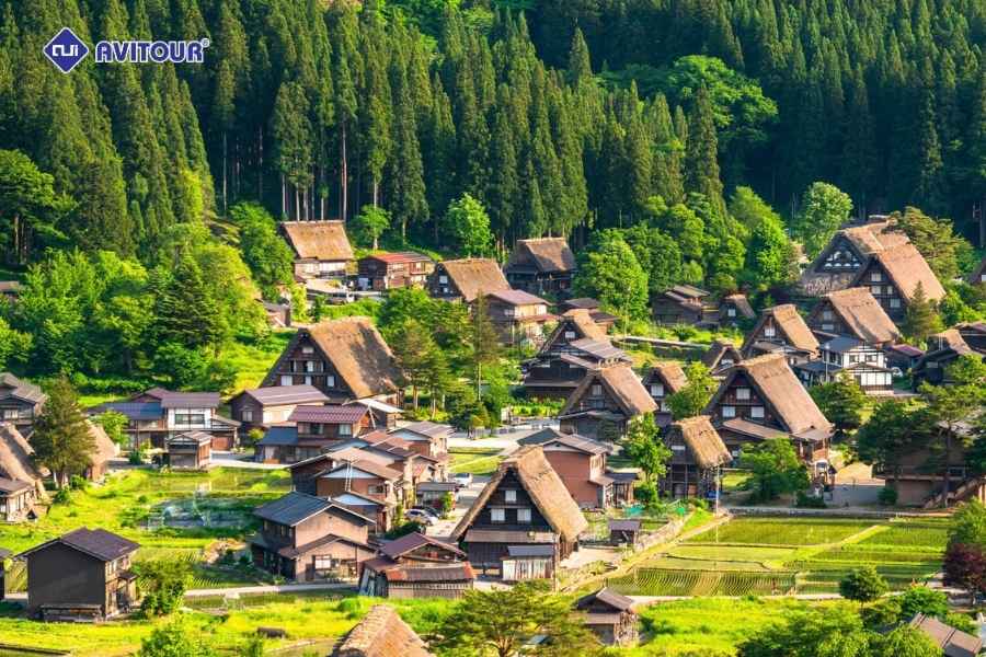 Top 6 Trải Nghiệm Nhất Định Phải Thử Ở Thành Phố Cổ Takayama