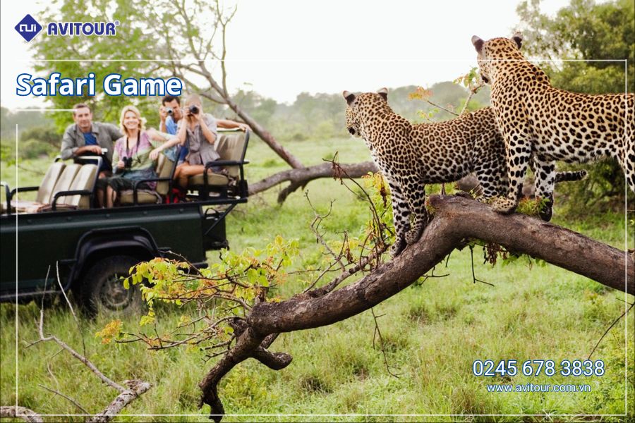TOUR KHÁM PHÁ NAM PHI HOANG DÃ & HIỆN ĐẠI DỊP LỄ 30/4: JOHANNESBURG - PRETORIA - SAFARI GAME LODGE -  CAPE TOWN - VÙNG RƯỢU VANG STELLENBOSCH -  DU THUYỀN NGẮM HOÀNG HÔN TRÊN VỊNH NÚI BÀN