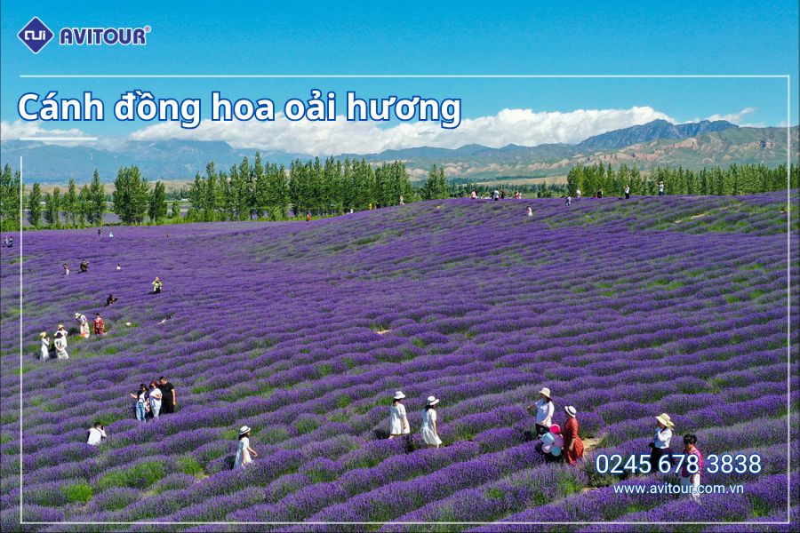 TOUR LỄ 30/04/2025: DU LỊCH TÂN CƯƠNG