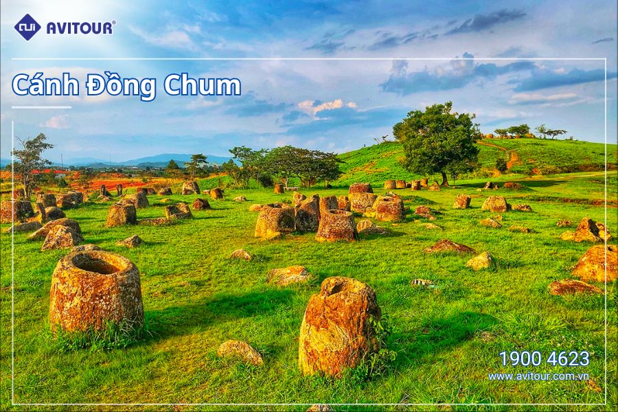 Tour trải nghiệm đáng nhớ tại Lào 2024: Cánh Đồng Chum