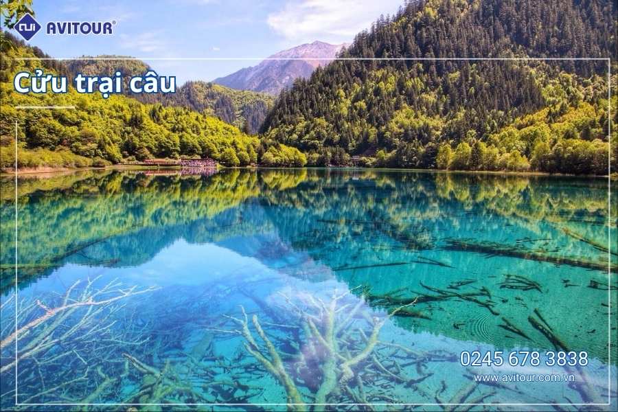 Tour Trung Quốc lễ 2/9: Trùng Khánh - Từ Khí Khẩu cổ trấn - Hồng Nhai Động - Công viên gấu trúc - Tịnh Thổ A Bá - Ngõ rộng ngõ hẹp - Thành Đô - Cửu Trại Câu