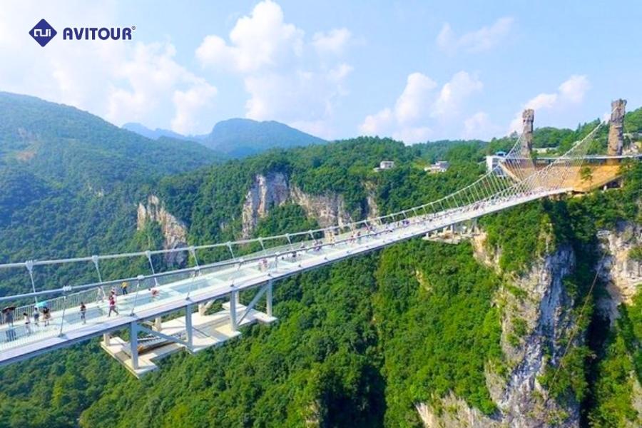 Trương Gia Giới: Chốn tiên cảnh giữa mây trời khiến du khách mê đắm