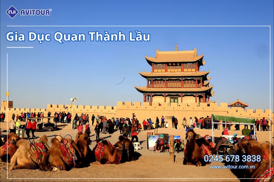 VI VU KHÁM PHÁ ĐÔN HOÀNG - GIA DỤC QUAN - TỬU TUYỀN - TRƯƠNG DỊCH