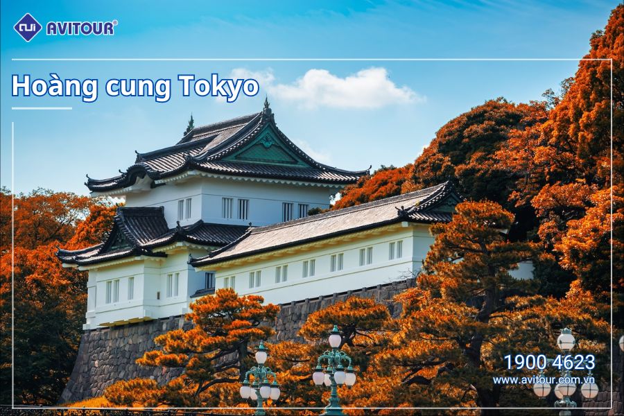 VI VU NHẬT BẢN MÙA ĐÔNG HÀ NỘI  – TOKYO – PHÚ SĨ- OSAKA – KYOTO