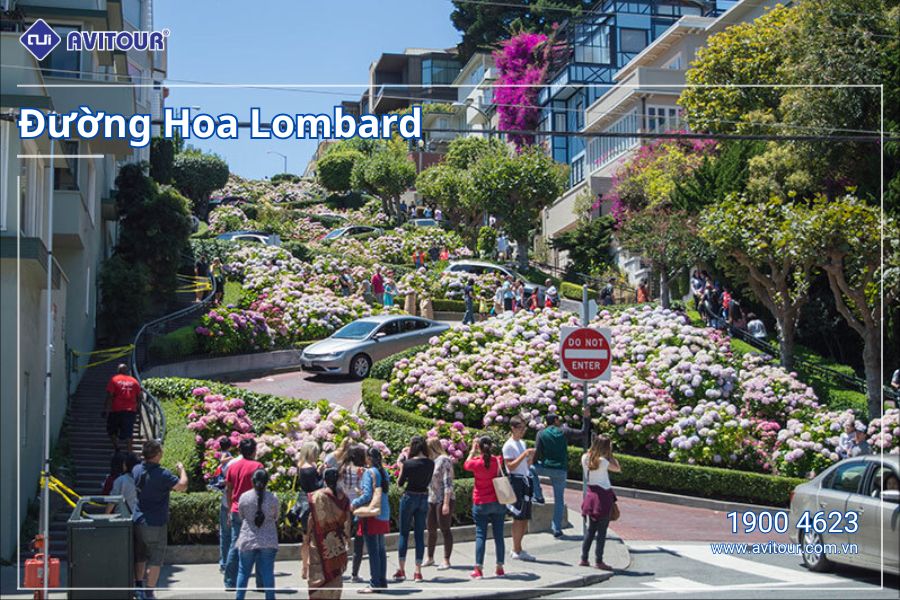 VI VU NƯỚC MỸ: SAN FRANCISCO - SAN JOSÉ - SOLVANG - LOS ANGELES - UNIVERSAL HOLLYWOOD - SAN DIEGO - LOS ANGELES - BARSTOW - LAS VEGAS - SEVEN MAGIC MOUNTAIN - SANTA MONICA - HẺM NÚI ĐÁ ĐỎ - RED ROCK CANYON  - WASHINGTON DC - PHILADELPHIA - NEW YORK