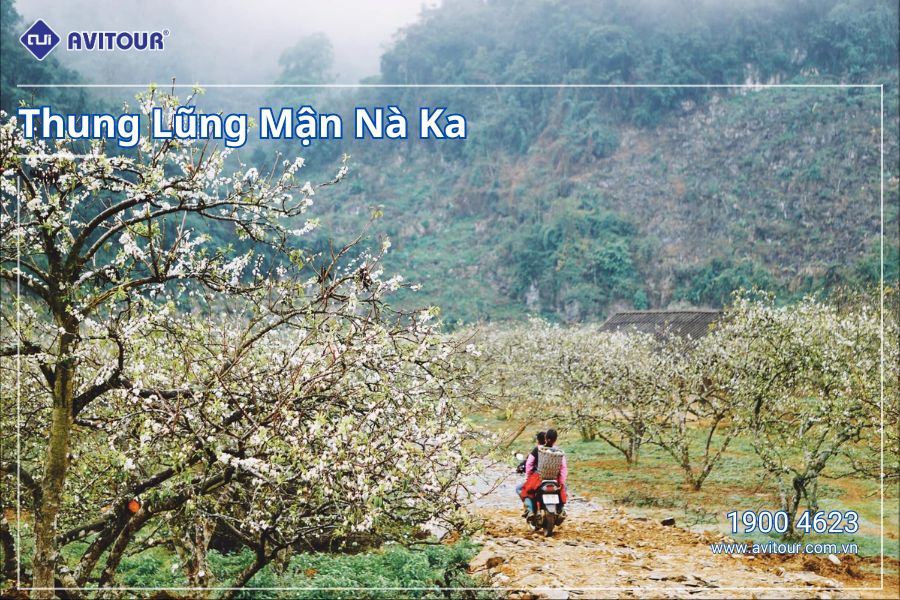VI VU TÂY BẮC: HÀ NỘI -  MỘC CHÂU – BẢN LÁC MAI CHÂU -  HÀ NỘI