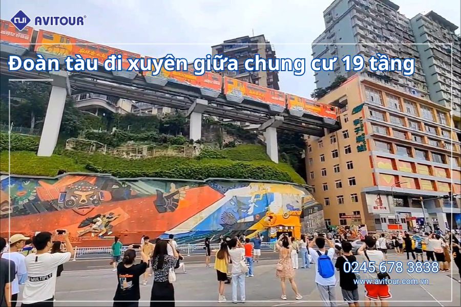 VI VU TẾT DƯƠNG TRÙNG KHÁNH - TỪ KHÍ KHẨU CỔ TRẤN HỒNG NHAI ĐỘNG - CÔNG VIÊN GẤU TRÚC CỬU TRẠI CÂU - TRƯỢT TUYẾT GIA CÔ SƠN