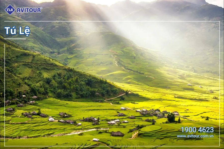 Yên Bái mùa lúa trổ bông 2024: HÀ NỘI – NGHĨA LỘ - TRẠM TẤU – TÚ LỆ - MÙ CANG CHẢI – HÀ NỘI