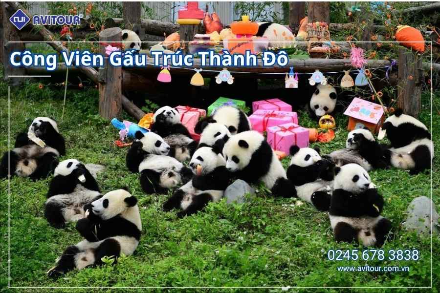 Du Lịch Tứ Xuyên 2026: Hà Nội – Thành Đô – Núi Tứ Cô Nương – Cửu Trại Câu