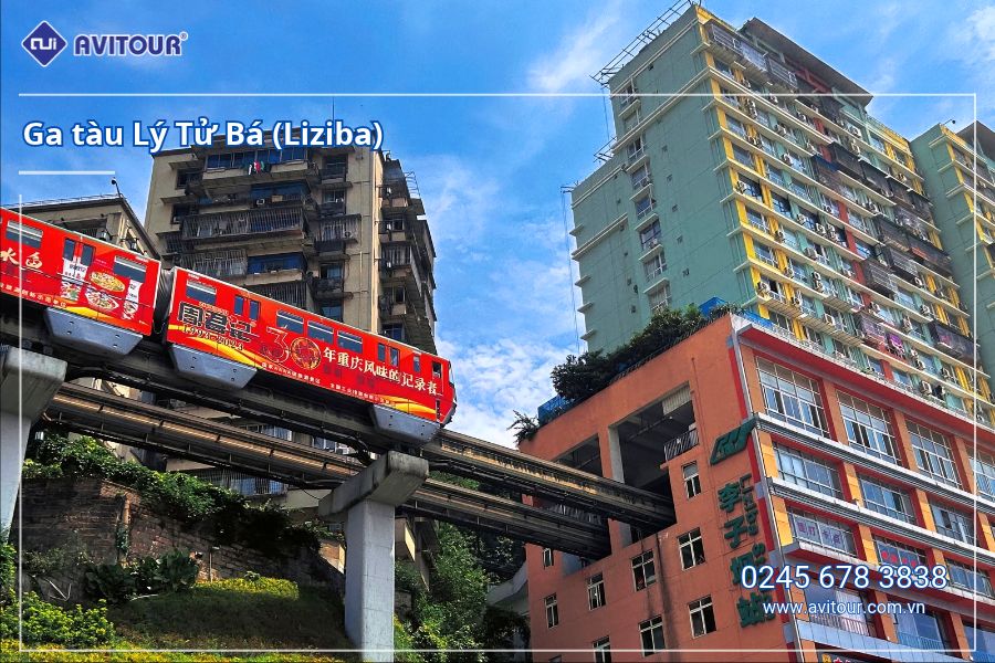 Du Lịch Trùng Khánh 2026: Trùng Khánh - Thành Đô - Cửu Trại Câu - Trượt Tuyết Kỳ Hiệp Câu