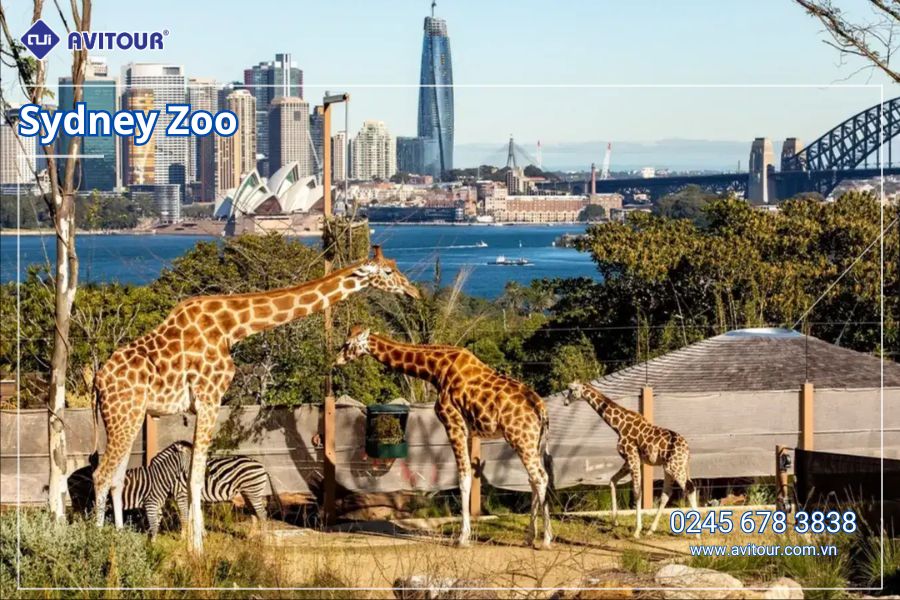 Du Lịch Nước Úc Lễ 2/9/2026: Hà Nội - Sydney- Canberra - Melbourne  - Hà Nội