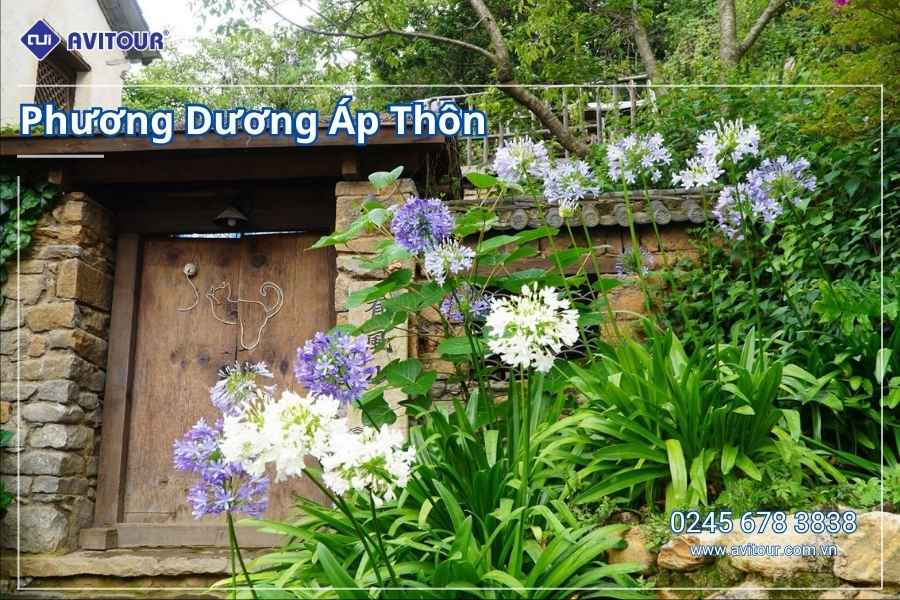 Du lịch Vân Nam 2026: Hà Khẩu - Đại Lý - Côn Minh từ Hà Nội