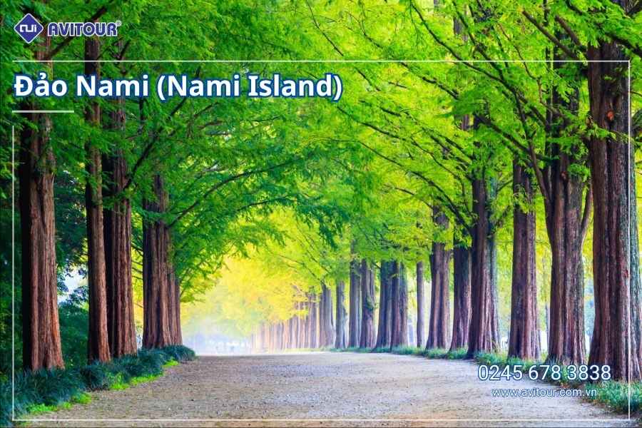 Du lịch Hàn Quốc 2026: Hà Nội – Lotte Word – Đảo Nami – Làng Cổ Hanok Bukchon