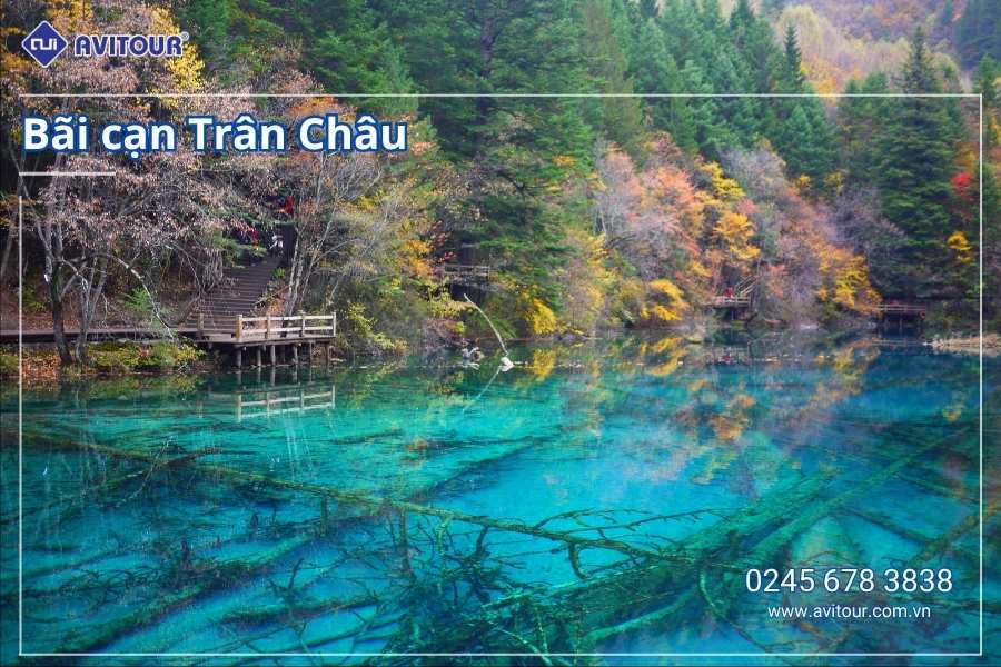 Du Lịch Trung Quốc 2026: Trùng Khánh - Từ Khí Khẩu - Hồng Nhai Động - Công Viên Gấu Trúc - Tịnh Thổ A Bá - Phố Cổ Cẩm Lý - Thành Đô - Cửu Trại Câu