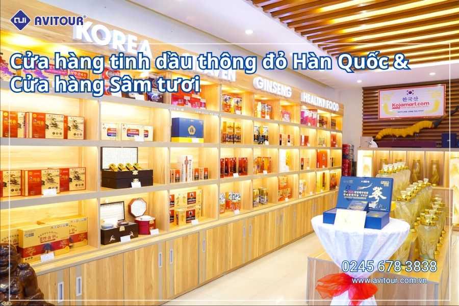 Du lịch Hàn Quốc 2026: Hà Nội – Lotte Word – Đảo Nami – Làng Cổ Hanok Bukchon