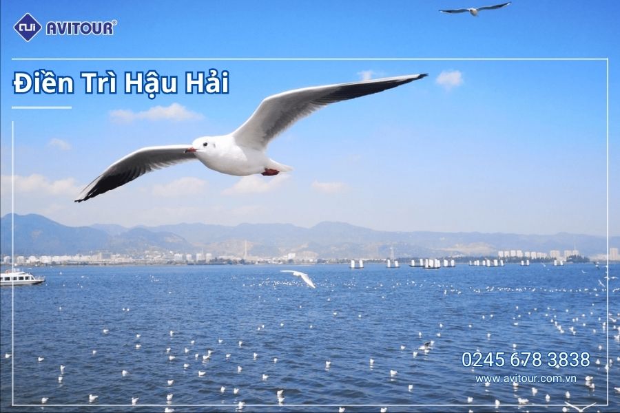 Du lịch Vân Nam Lễ 2/9/2026: Hà Khẩu - Đại Lý - Côn Minh từ Hà Nội