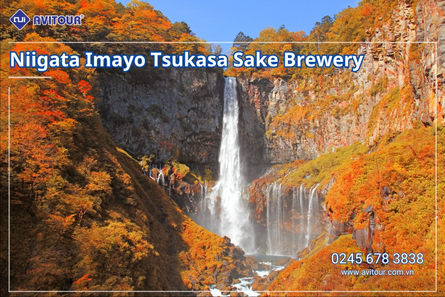 Du lịch Nhật Bản (Tết Dương Lịch 2027): Niigata - Aizu - Nikko - Tokyo - Phú Sĩ - Niigata từ Hà Nội