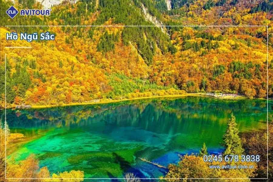 Du lịch Trung Quốc 2026: Tour Thành Đô - Cửu Trại Câu - Đô Giang Yển