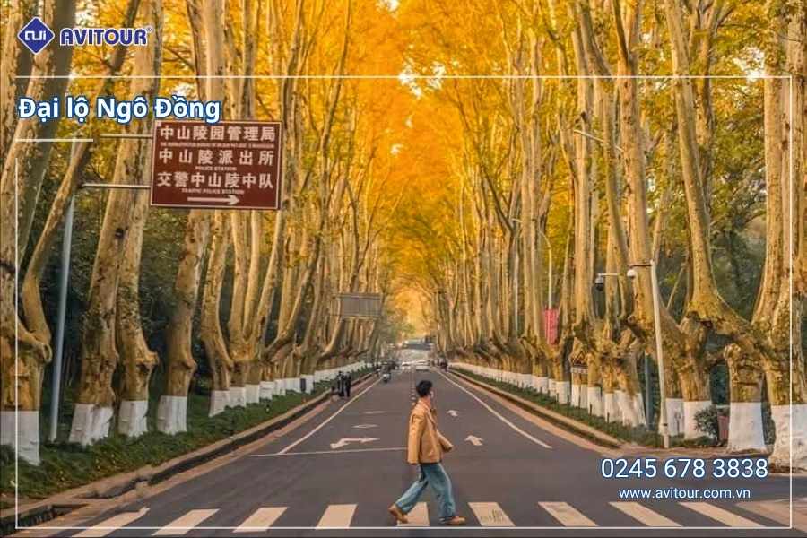 Du Lịch Hoa Đông Tết Dương Lịch: Tour Hà Nội - Thượng Hải - Tô Châu - Tây Đường - Nam Kinh (No shopping)