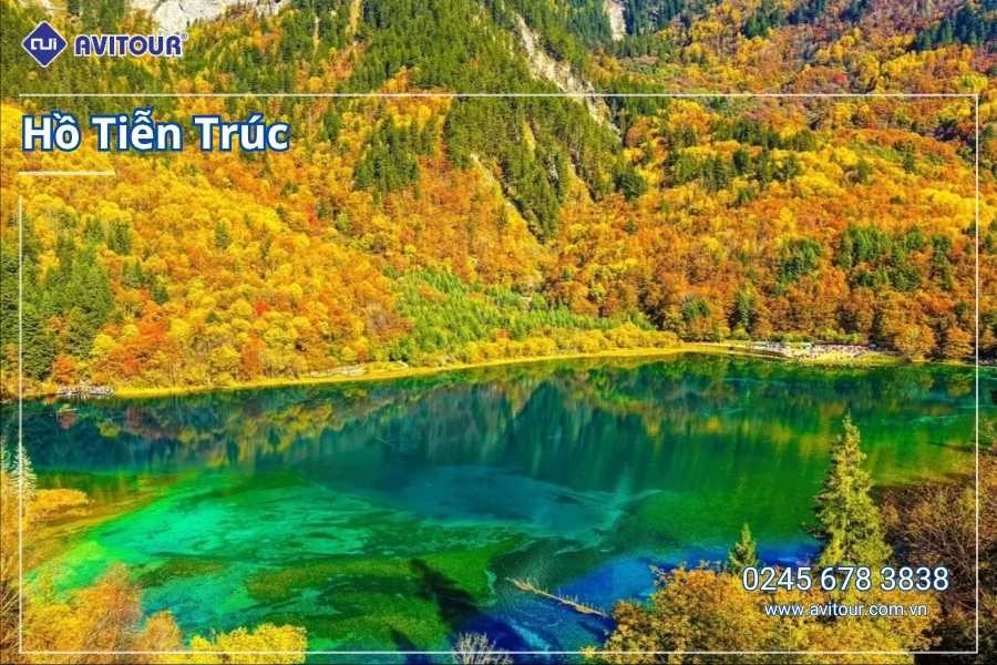 Du Lịch Trung Quốc 2026: Trùng Khánh - Từ Khí Khẩu - Hồng Nhai Động - Công Viên Gấu Trúc - Tịnh Thổ A Bá - Phố Cổ Cẩm Lý - Thành Đô - Cửu Trại Câu